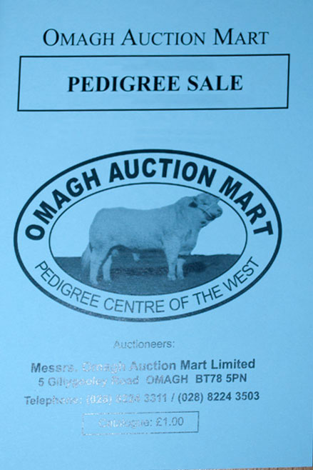 booklet-omagh-auction
